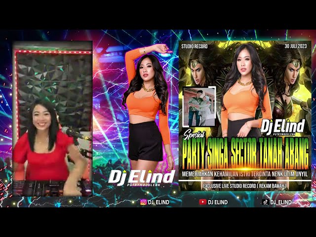 SPECIAL PARTY SINGA SECTOR TANAH ABANG BY DJ ELIND class=