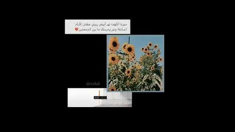 سورة الكهف _ حالات واتس اب قران // اية قرانية قصيرة// لراحة قلبك // ستوريات انستا #quran​