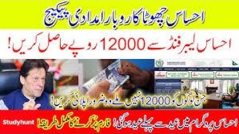 How to apply for Ehsaas Labour Program | Ehsas Cash Labor Program 2020|Chota karobar Online Reg|