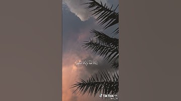 تلاوة هادئة لسورة الفاتحة