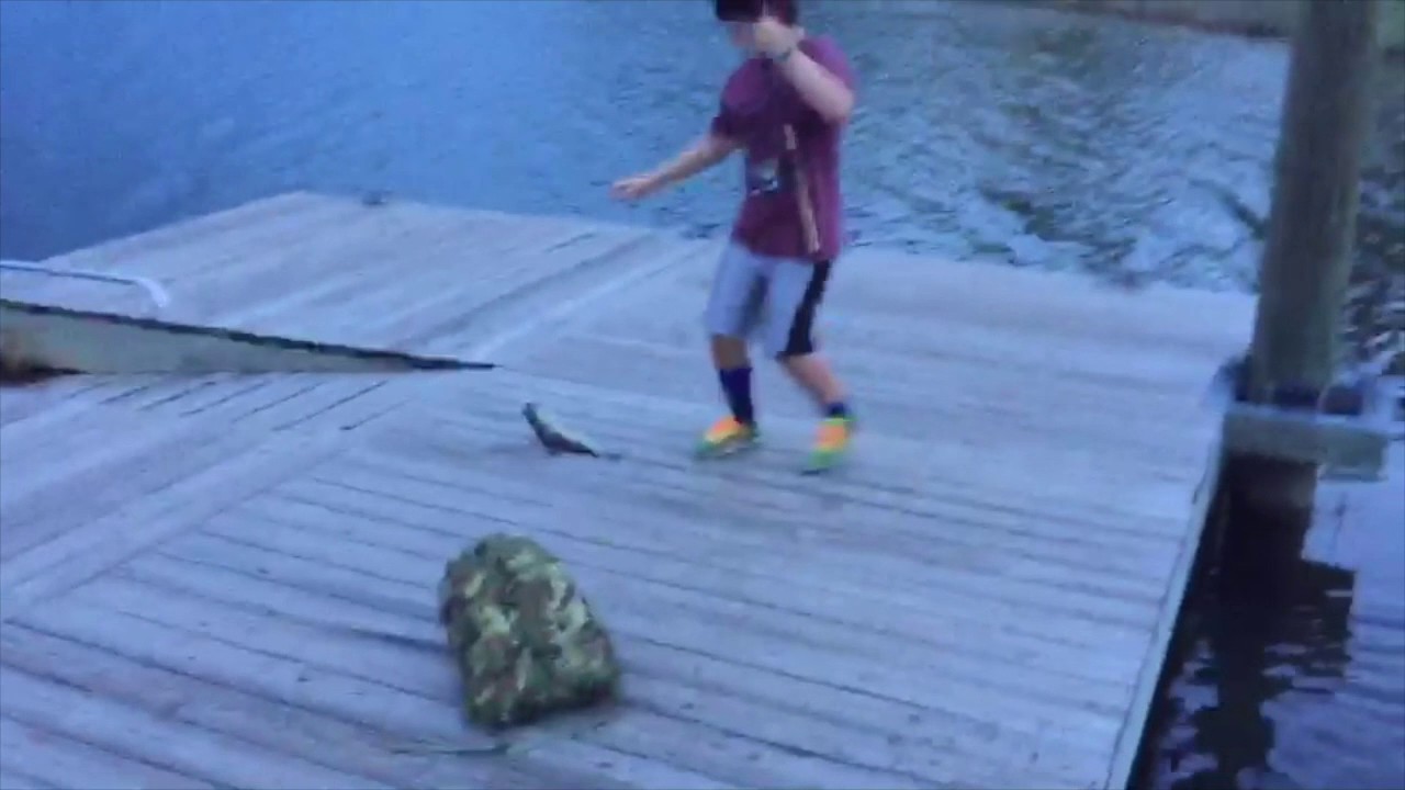 Fishing with Hot Dogs YouTube