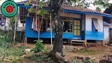 bikin kangen suasana hajatan pernikahan di kampung putra jawa