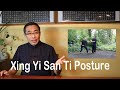 Basic practice teaching  series 1 san ti posture of xing yi