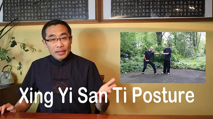 Basic Practice Teaching  Series (1): San Ti Posture of Xing Yi - DayDayNews