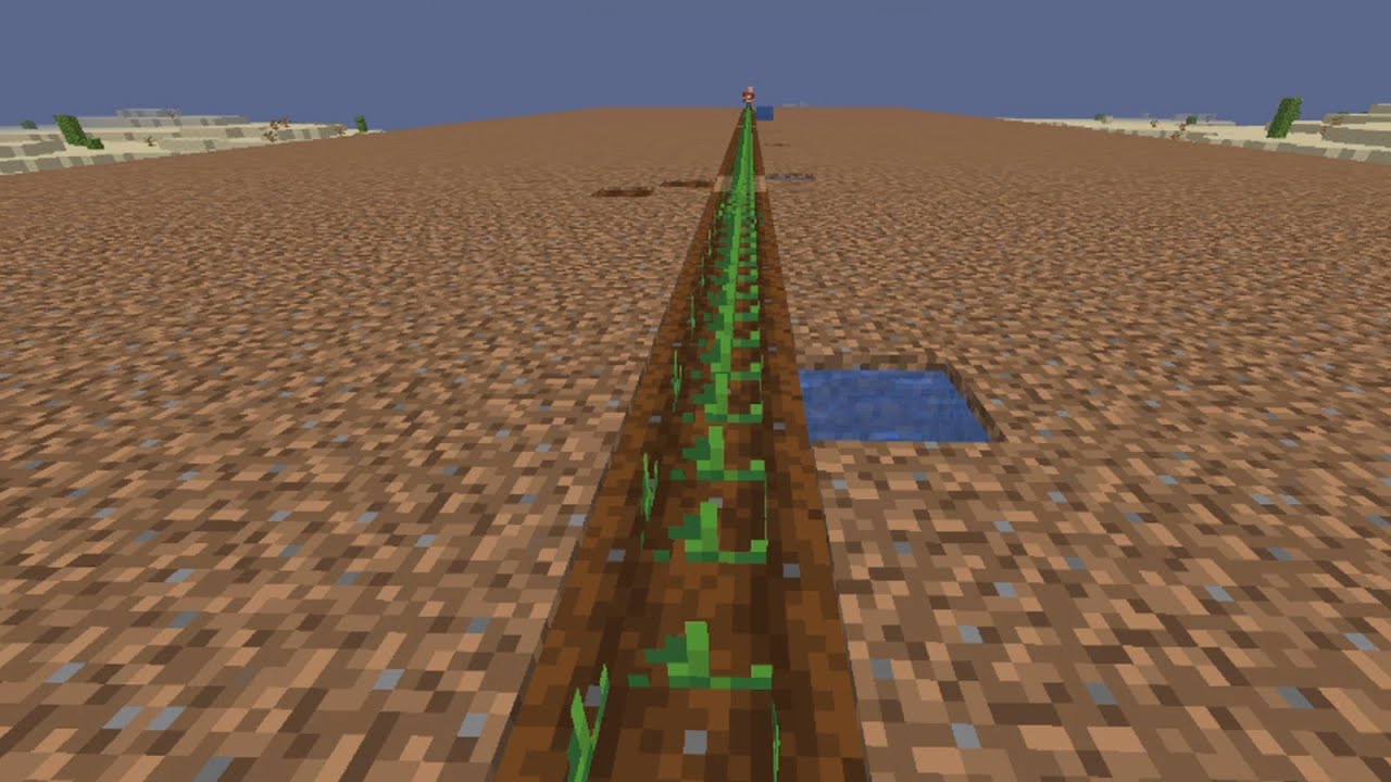 POV you are a potato in technoblades potato farm - train for 3 more hours potato.