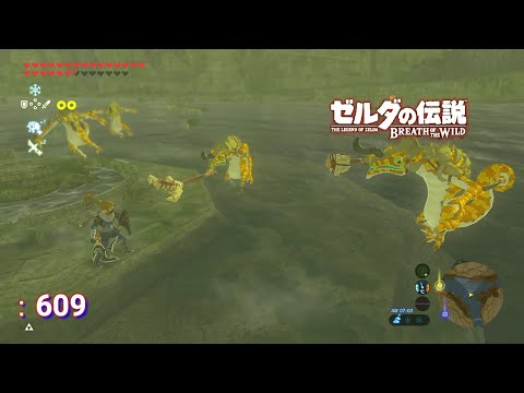 金x4のラネール参道のリザル戦【ゼルダの伝説 マスターモード:609】【ブレスオブザワイルド】
