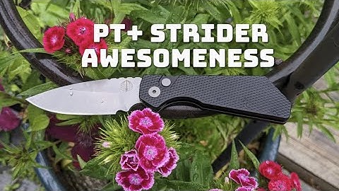 Pro-Tech PT+ Strider Knife Review