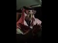 هنا والبرد للشاعر راشد فارس ملامح صبح هنا والبرد للشاعر راشد فارس ملامح صبح