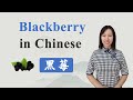 How to Say “Blackberry” in Chinese?