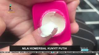 Nilai Komersial Kunyit Putih