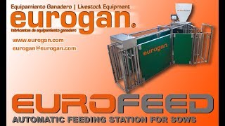 EUROFEED. AUTOMATIC FEEDING STATION FOR SOWS