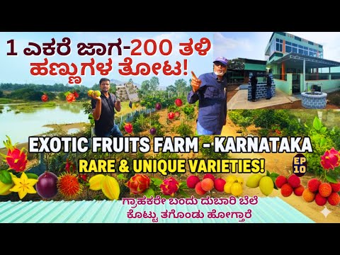 FARM TOUR-"200 ತಳಿ ವಿದೇಶಿ ಹಣ್ಣುಗಳ ತೋಟ! ದುಬಾರಿ ಬೆಲೆ ಕೊಟ್ಟು ತಗೊಂಡು ಹೋಗ್ತಾರೆ!!-Ep11-Teja Nursery-#param