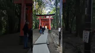 Fushimi Inari Shrine was one of my favorite stops in Kyoto.  #fushimiinarishrine