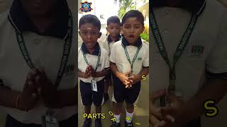 Parts of a Plant Explained | Grade 1 Students | Easy Science Learning