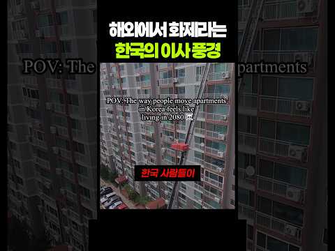해외에서 화제라는 한국의 이사 풍경