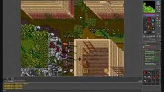 Tibia Bot Killing / Trapowanie botów #19