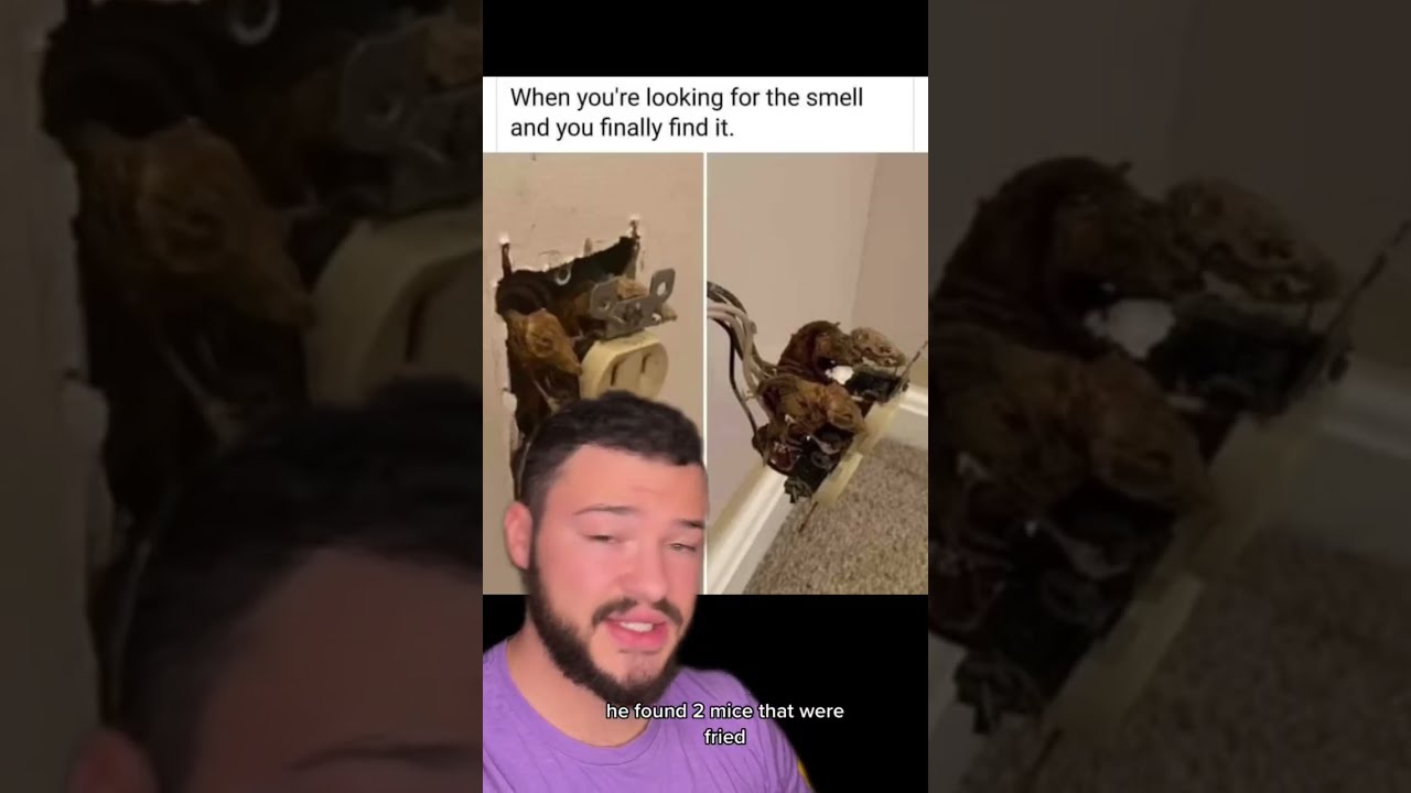 Creepiest Things Found In People S Houses Creepy
