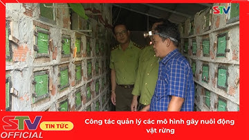 STV - Công tác quản lý các mô hình gây nuôi động vật rừng
