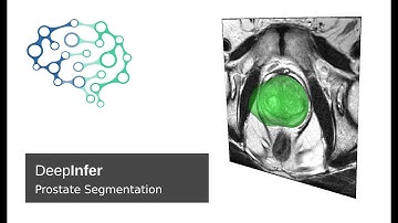 DeepInfer: Prostate Segmenter