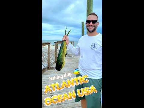 Видео: Риболов в Кий Уест, Флорида: Пълното ръководство