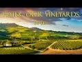 Its happy hour vineyards around the world in 3 hours 4k screensaver