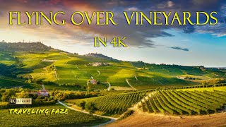 It's HAPPY HOUR!! Vineyards Around the World in 3 Hours [4K] [SCREENSAVER]