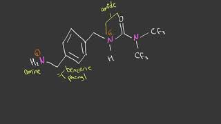 Celebrity Organic chemistry - Identifying functional groups + ranking basicity practice Net Worth