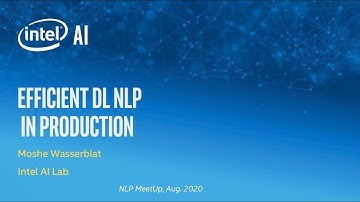 Simple and Efficient Deep Learning for Natural Language Processing, with Moshe Wasserblat, Intel AI