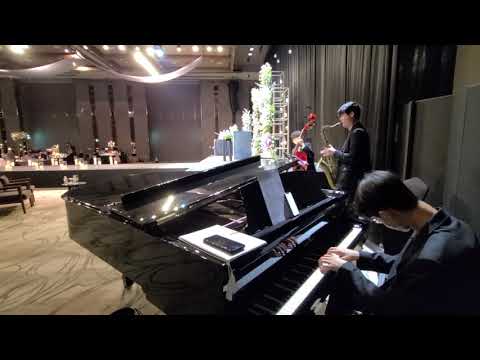 서울드래곤시티 결혼식연주 재즈3중주 웨딩연주