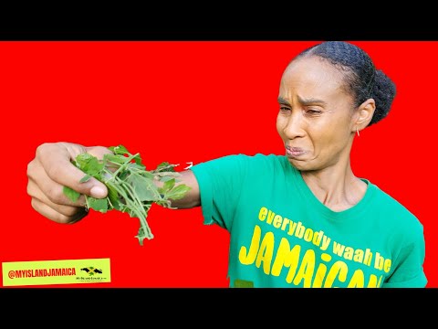 ⚠ CAUTION! THIS is Extremely  BITTER! 😝🌿 (but it makes you BETTER ☺) #bittermelon #cerasee