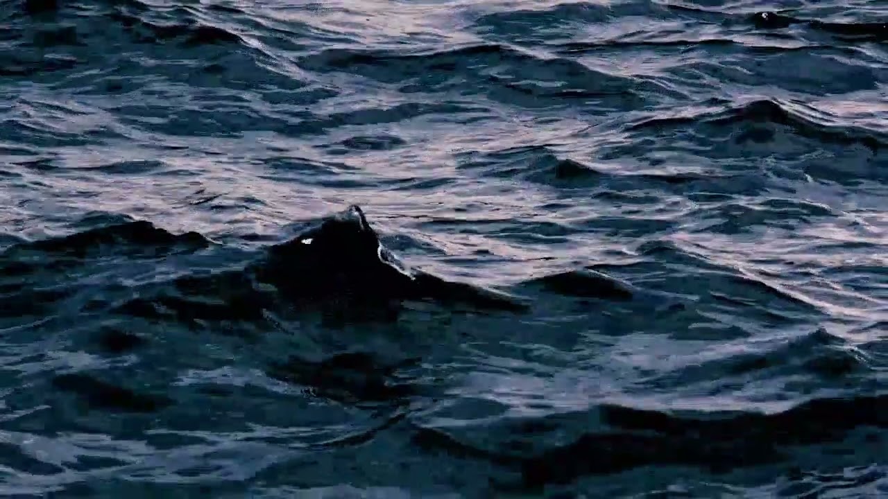 قصص سعودية حقيقية لن تصدقها من غرابتها #تاستوري