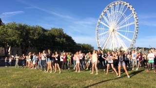 STS Language School Torquay 2014 Flash Mob