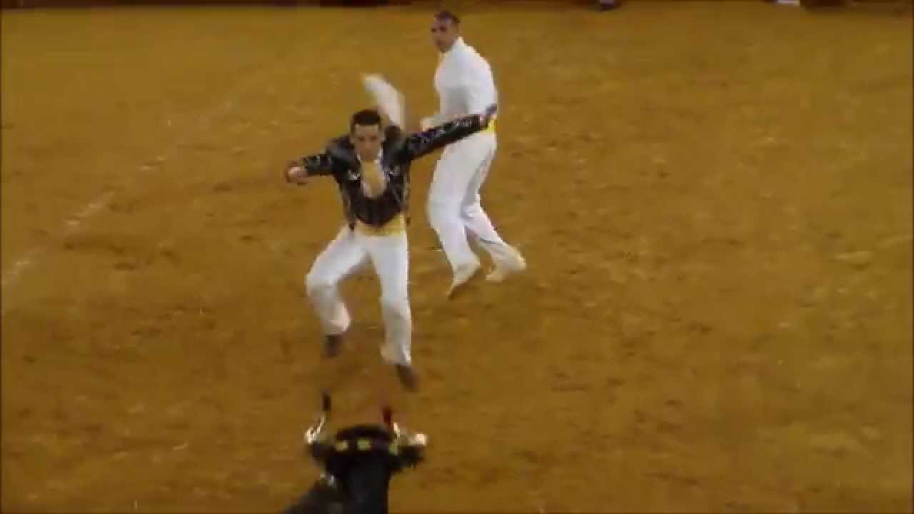 Dax 13/08/14 Concours