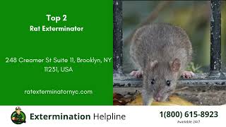 Top 3 Exterminators in Brooklyn Center