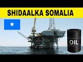 DEGDEG: Turkiga oo rakibay tubooyinka soosaaraya Shidaalka Soomaaliya & goobta lagu sifaynayo oo....