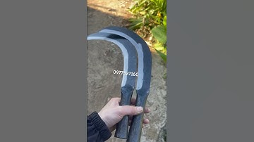 Quắm nhíp đỏ phác giật cành #sinhtồntrongrừng #phieuluutrongrung #daomeodirung #daophucsendirung