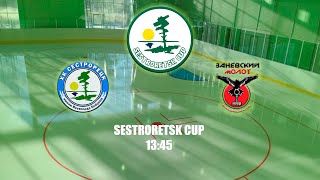 SESTRORETSK CUP • ХК Сестрорецк - ХК Тайфун ЗМ (10.05.2024)