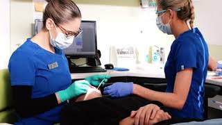 My Dental Team