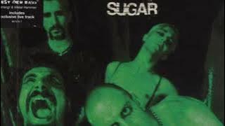 Sugar - System Of A Down （drumless）