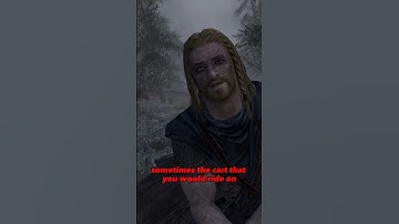 The Bee That BROKE Skyrim