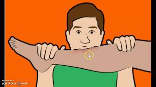 6 Ridiculous Survival Myths You Should Ignore