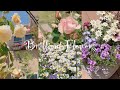 《輝く花》ガーデニング＊花いっぱいの庭づくり《T's Garden》