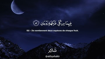 Sourate Ar-Rahman | Umar Sildinskiy سورة الرحمن عمر سيلدينسكي
