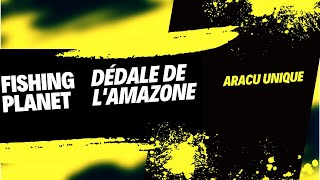 Fishing Planet Aracu À Bandes Unique Au Dédale De Lamazone