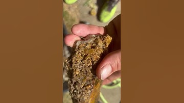 #Rocks #Fossils #RockHounding #RockHounds