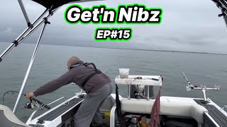 Solo chaos 4 way hook up | Western Port Bay | Get'n Nibz | EP#15
