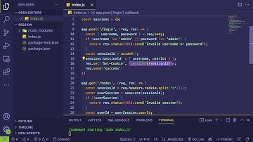 How do server side authentication sessions work (express & cookies)
