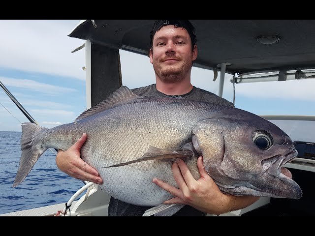 Bass Fishing Patch -  New Zealand