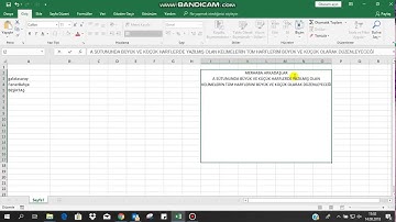 Excel