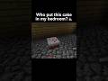 Minecraft Funny Moment